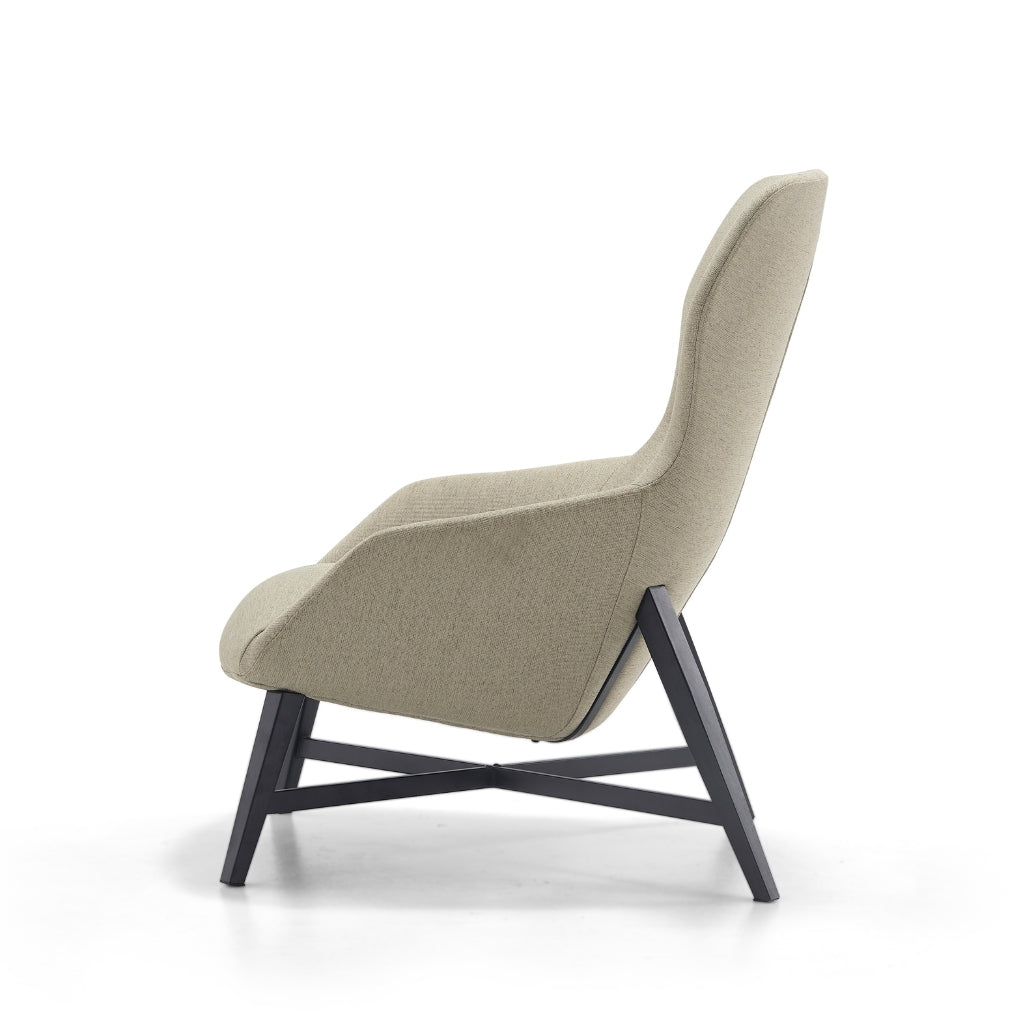 stylish lounge chair