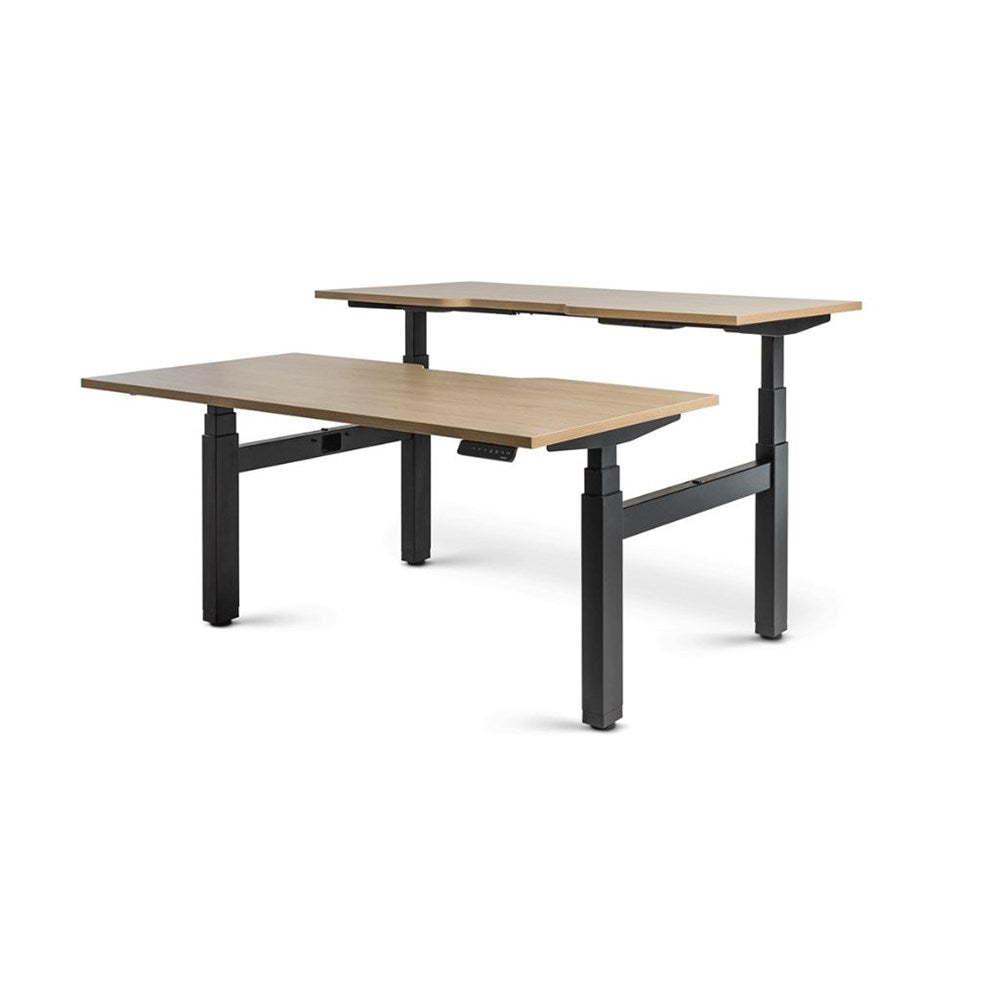 Mobel Enhance Electric Height Adjustable Shared Desk