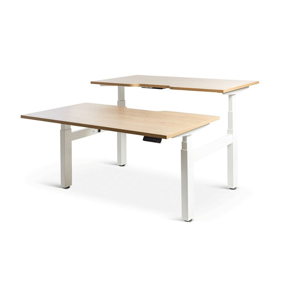 Mobel Enhance Electric Height Adjustable Shared Desk