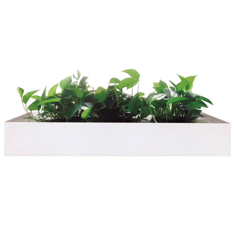 White Milano planter for stylish indoor office and workspace decor
