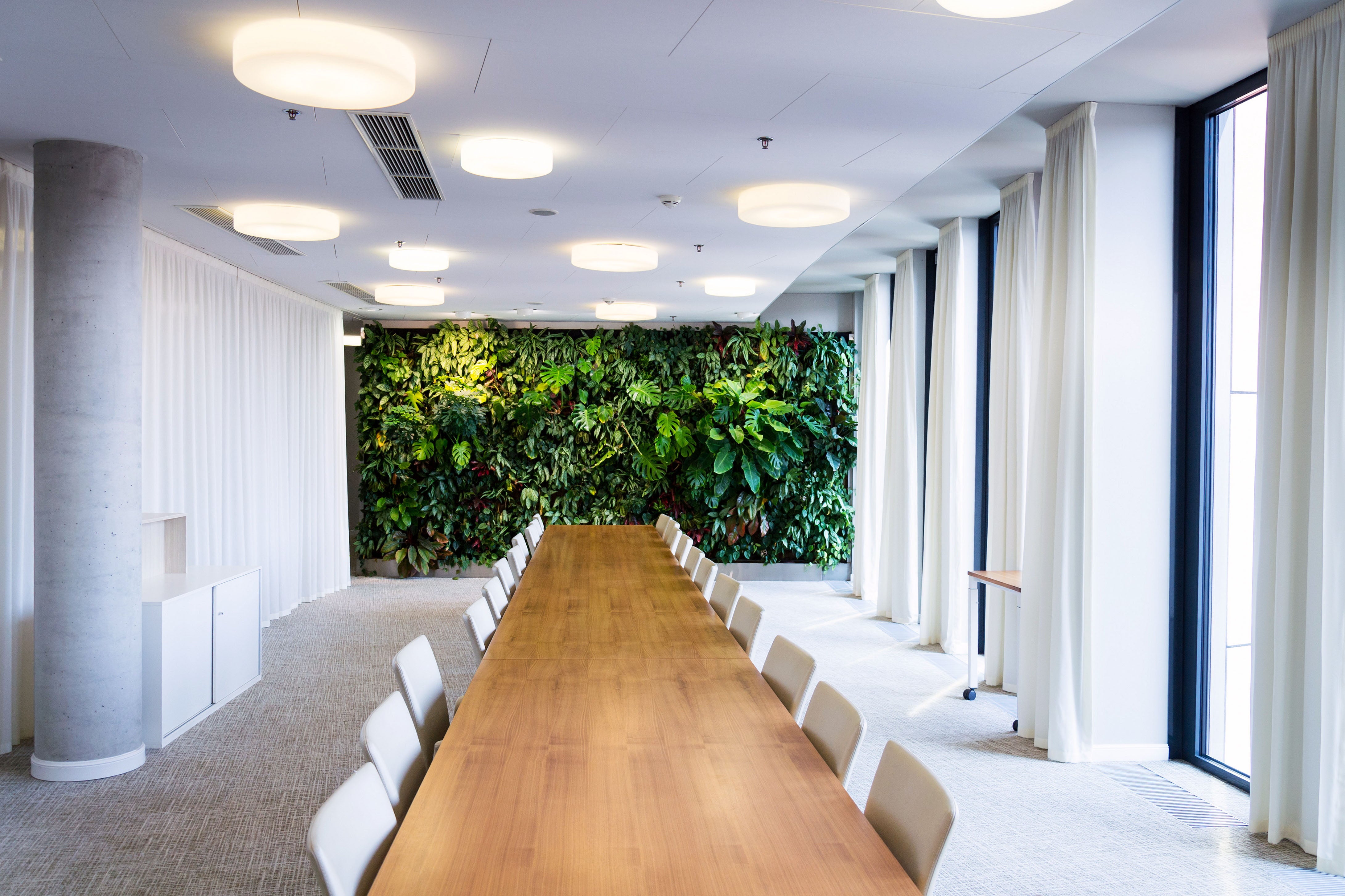 boardroom with long table and plant wall