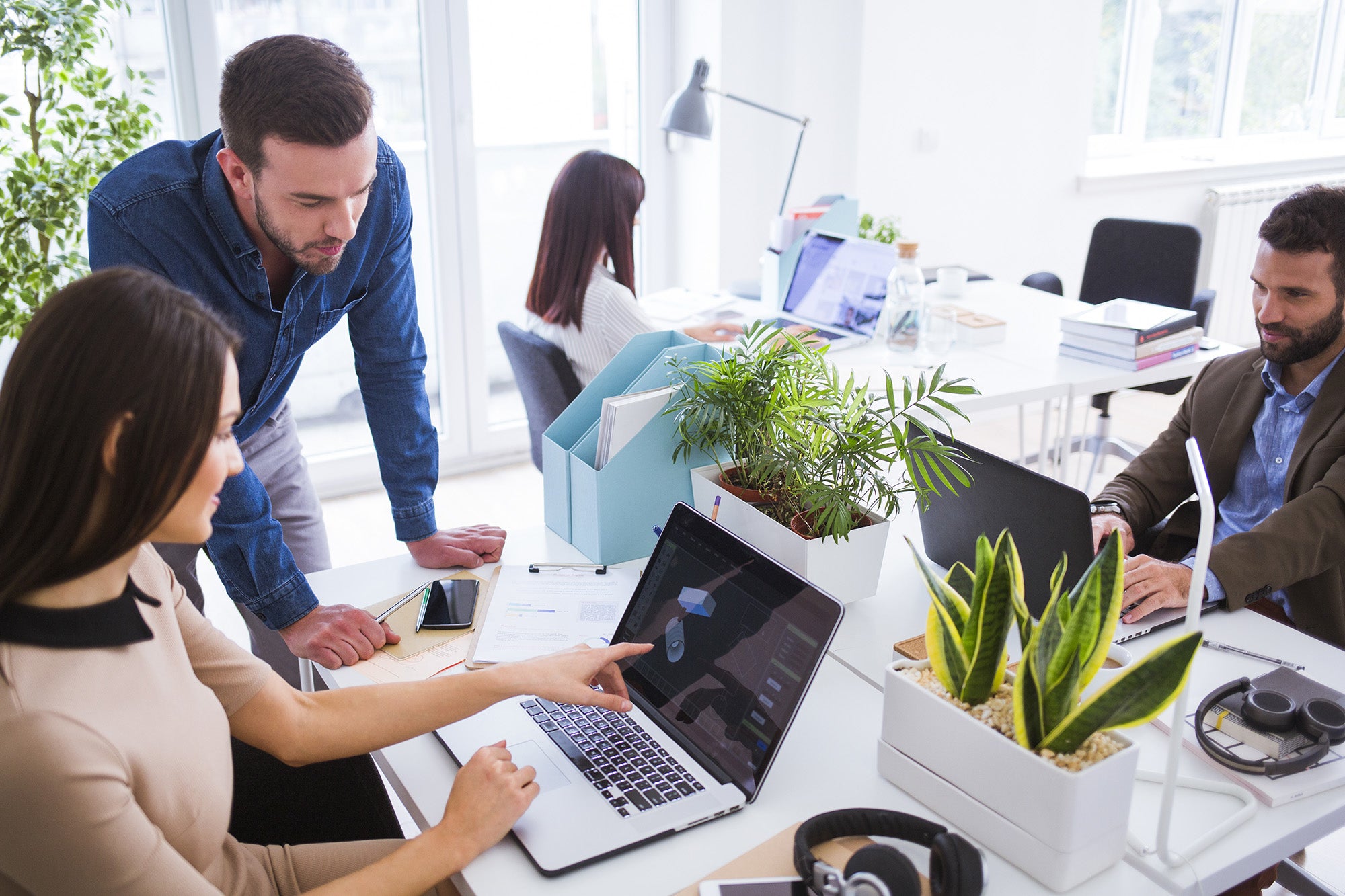 shared office with plants