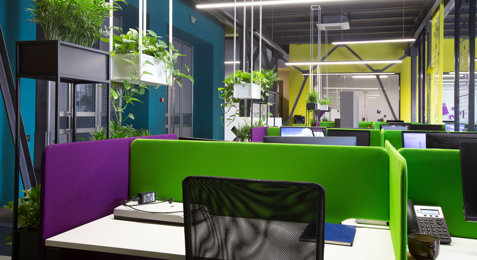 refreshing new office space green purple
