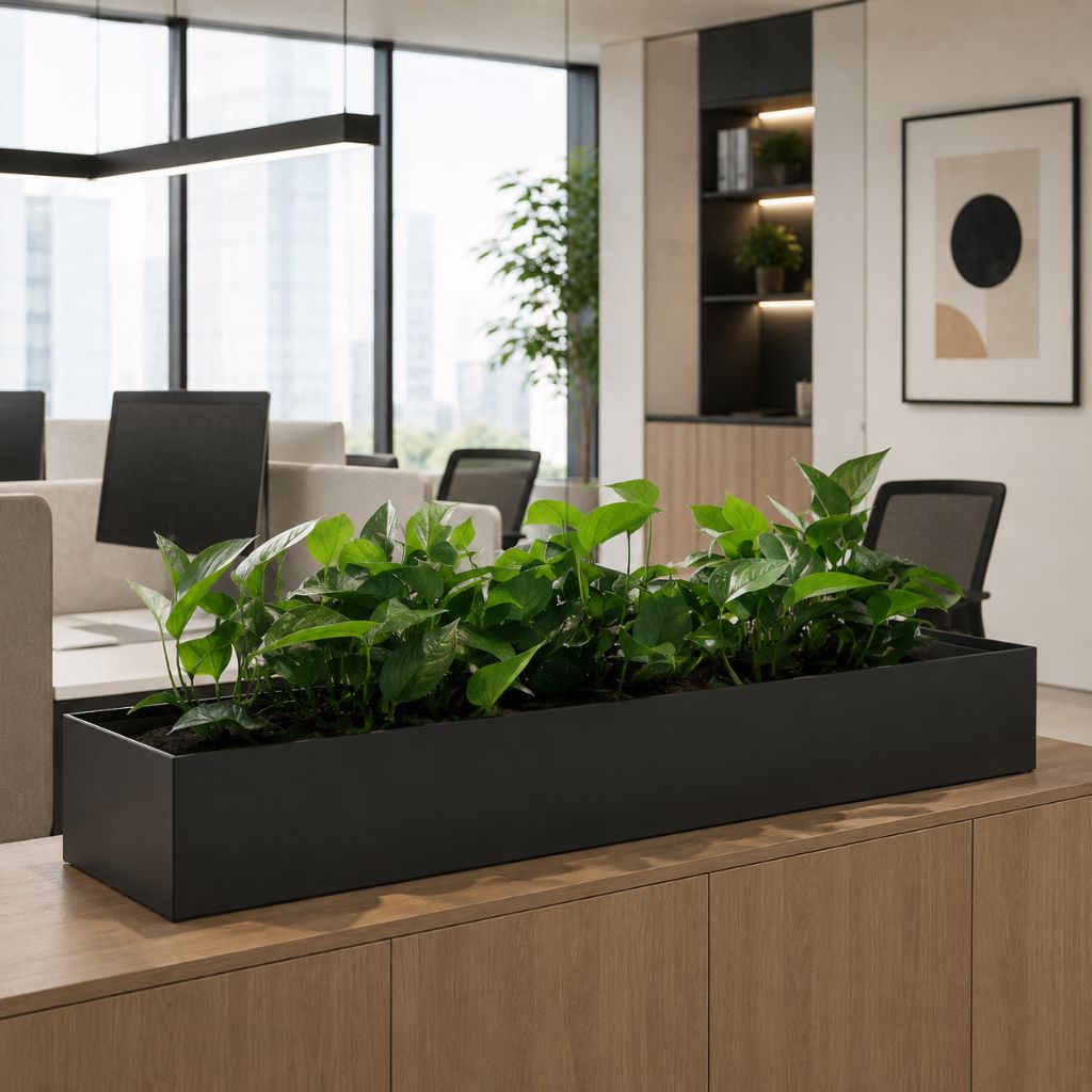 A long rectangular black planter box filled with lush green leafy plants, placed on a light wood cabinet in a modern office interior with desks, chairs, and large windows in the background.