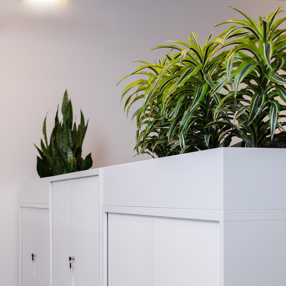 Mobel Planter Box for Milano Tambour